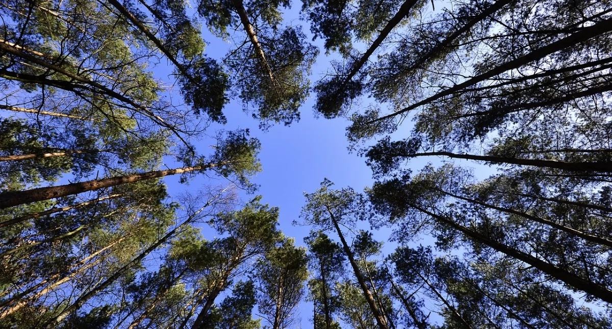 fot. UG Sierakowice