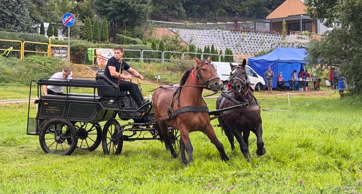 Imprezy, Deszcz przeszkodził miłośnikom kolejna edycja „Koni Radunią” - zdjęcie, fotografia