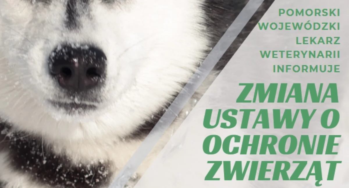 fot. UG Kartuzy
