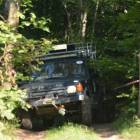 Fotka nr 3 z 49
