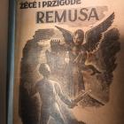 zdjęcie nr 37
