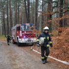zdjęcie nr 54