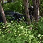 Fotka nr 4 z 19