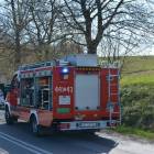 Fotka nr 4 z 18