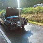 Fotka nr 2 z 23