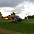 Fotka nr 5 z 8