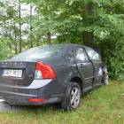 Fotka nr 4 z 23