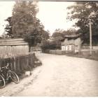 zdjęcie nr 21