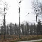 zdjęcie nr 37