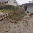 zdjęcie nr 17