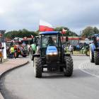 zdjęcie nr 80