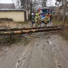 zdjęcie nr 16