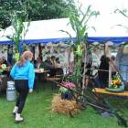 zdjęcie nr 8