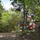 zdjęcie nr 36