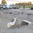 zdjęcie nr 15