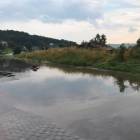 zdjęcie nr 8
