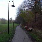 zdjęcie nr 8
