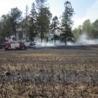 zdjęcie nr 14