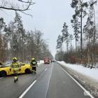 Fotka nr 2 z 3