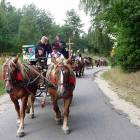 zdjęcie nr 11