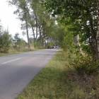 zdjęcie nr 7