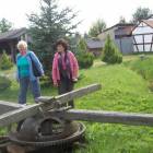 fot. nadesłane/Beata Ludwichowska