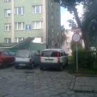 zdjęcie nr 8