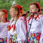 zdjęcie nr 7
