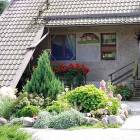 zdjęcie nr 8