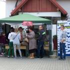 zdjęcie nr 24