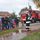 zdjęcie nr 46