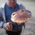 fot. nadesłane
