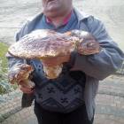 fot. nadesłane