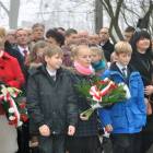 zdjęcie nr 80