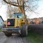 Fotka nr 2 z 10