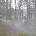 zdjęcie nr 48