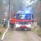 zdjęcie nr 73