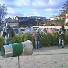 Stoisko z choinkami (na głównym planie 