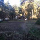 Fotka nr 4 z 8