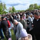 zdjęcie nr 9