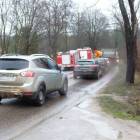 zdjęcie nr 14
