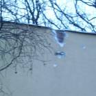 fot. MSz