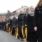 zdjęcie nr 15