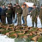 zdjęcie nr 31