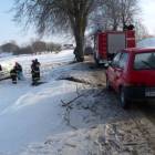 zdjęcie nr 15