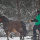 zdjęcie nr 19