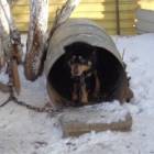 zdjęcie nr 2