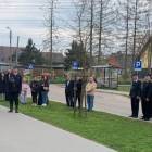 zdjęcie nr 13