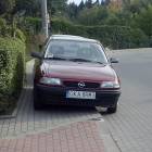 zdjęcie nr 7