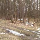 fot. nadesłane